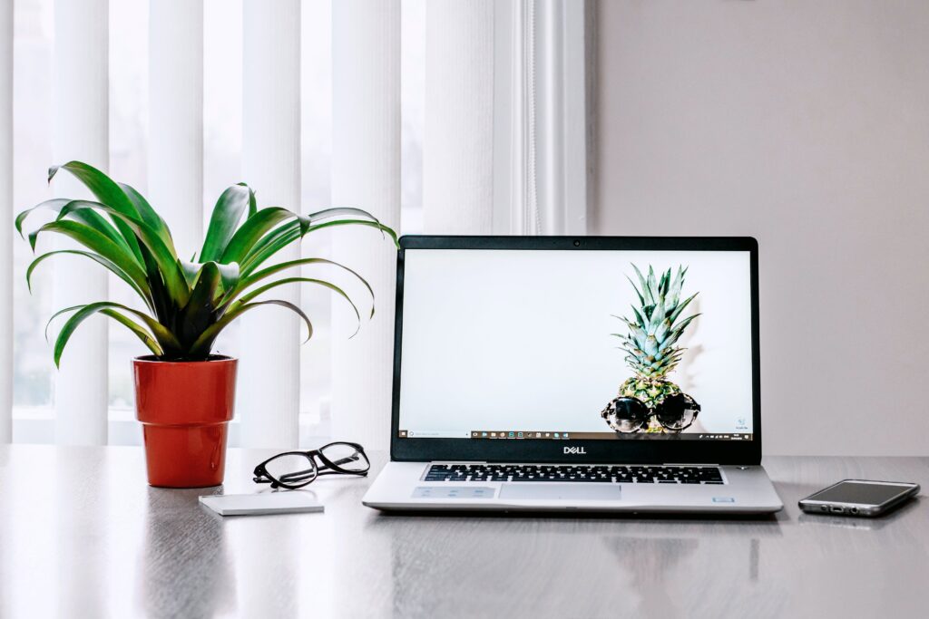 Foto de Lisa Fotios: https://www.pexels.com/pt-br/foto/foto-de-laptop-perto-da-planta-1006293/